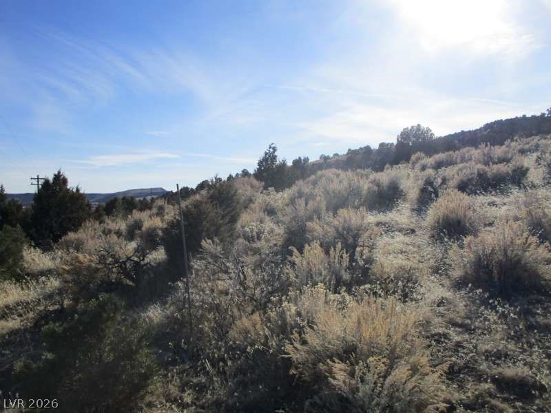 322 (10.012 Ac) Pioche, NV 89043 - Photo 8 of 10 View of nature