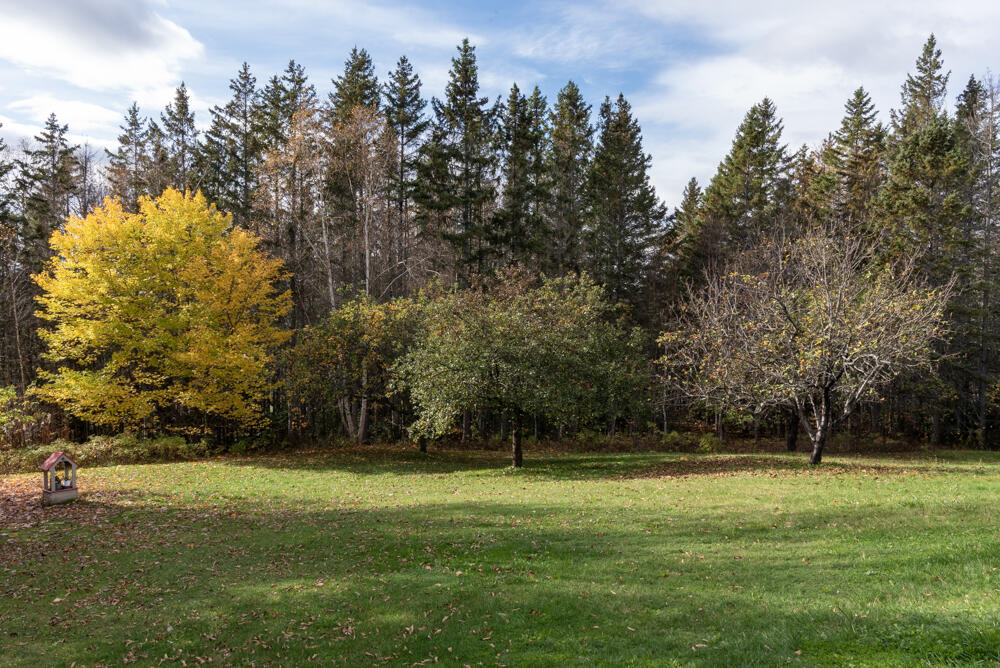 12 Sugartree Road St. David, ME 04773 - Photo 40 of 121 _NIK3212-2