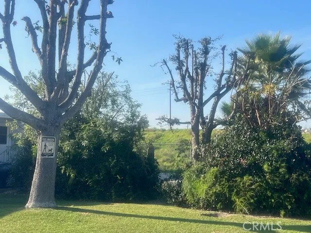 a view of a yard with plants
