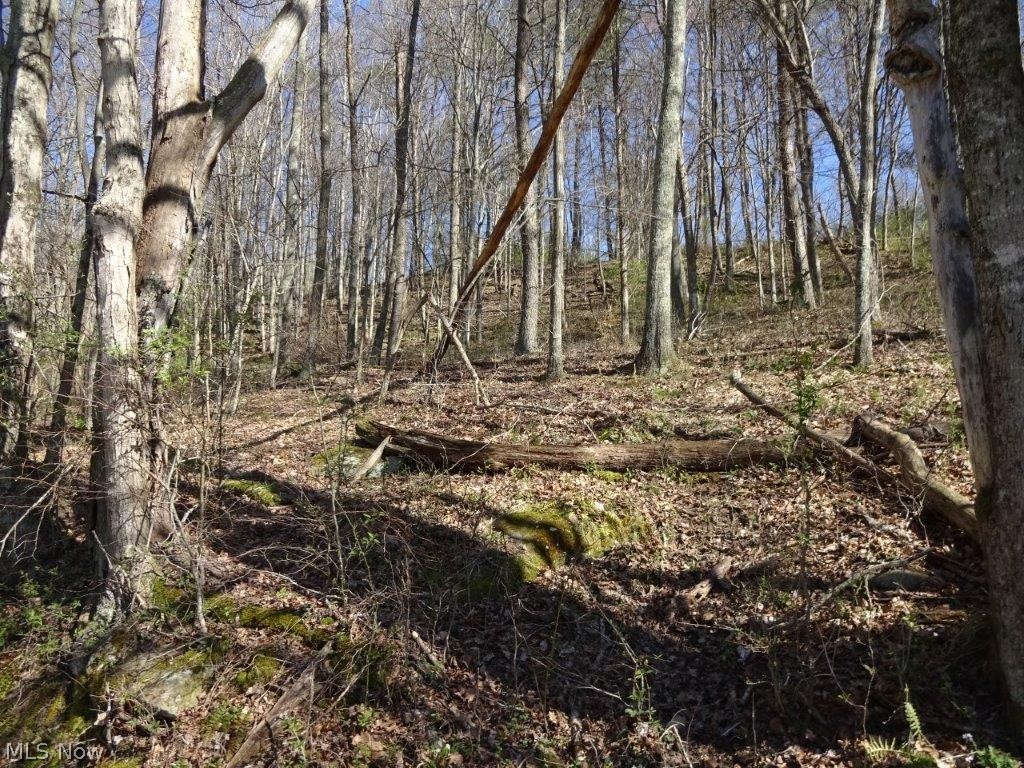 Daniels Run Road Palestine, WV 26160 - Photo 19 of 25