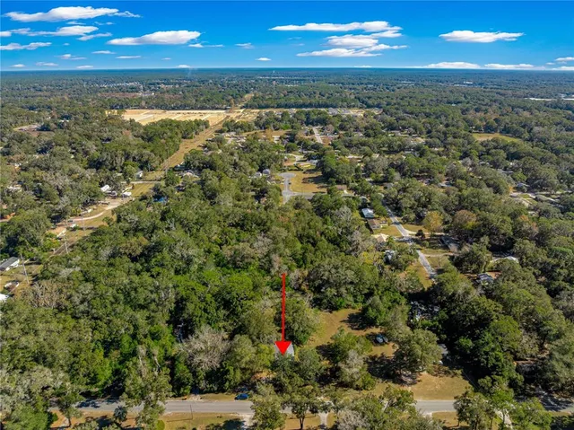 view of city and green space