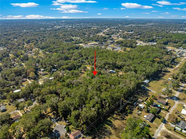 an aerial view of residential houses with city and green space