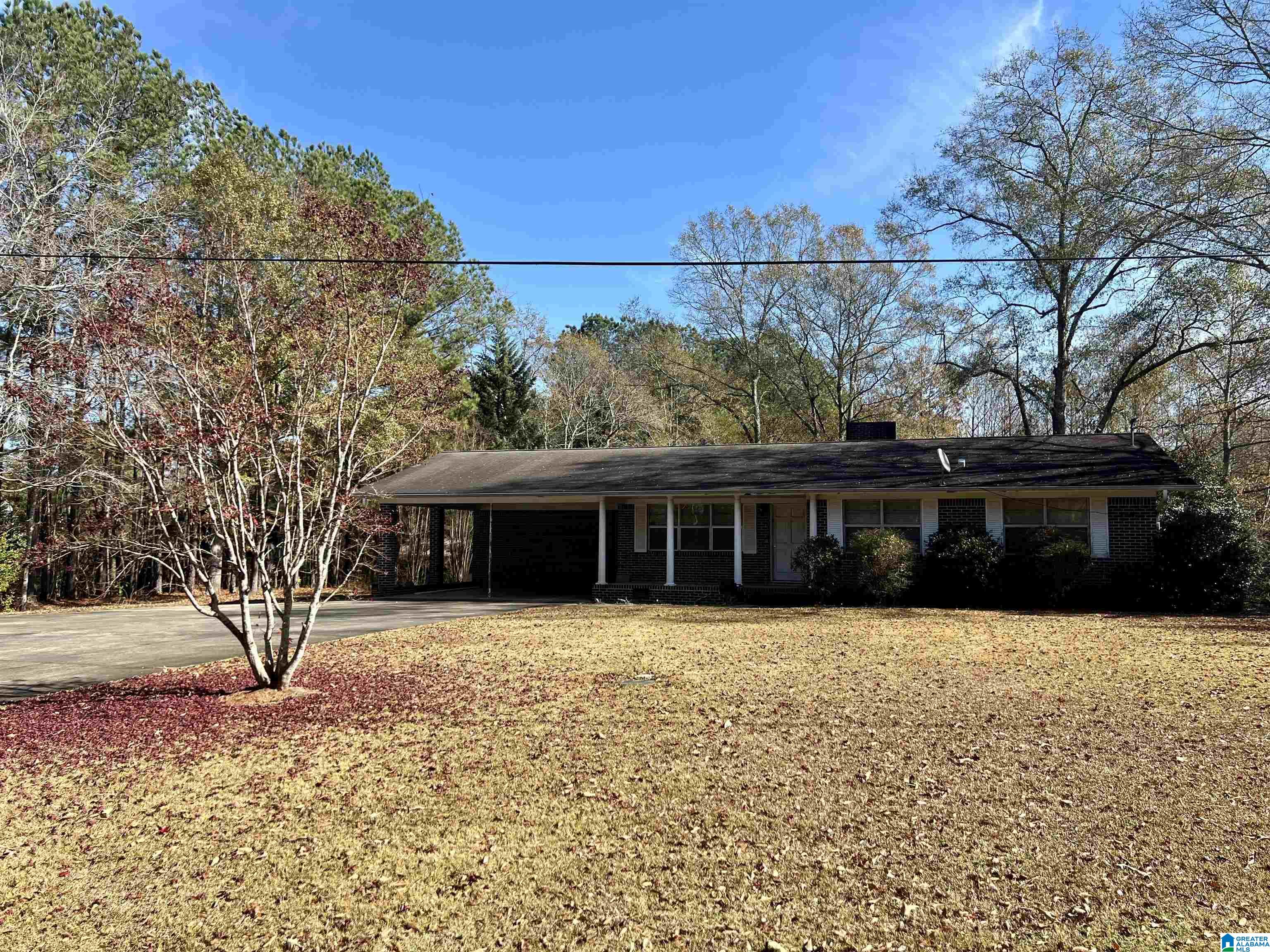 151 Mill Street Wedowee, AL 36278 - Photo 2 of 31
