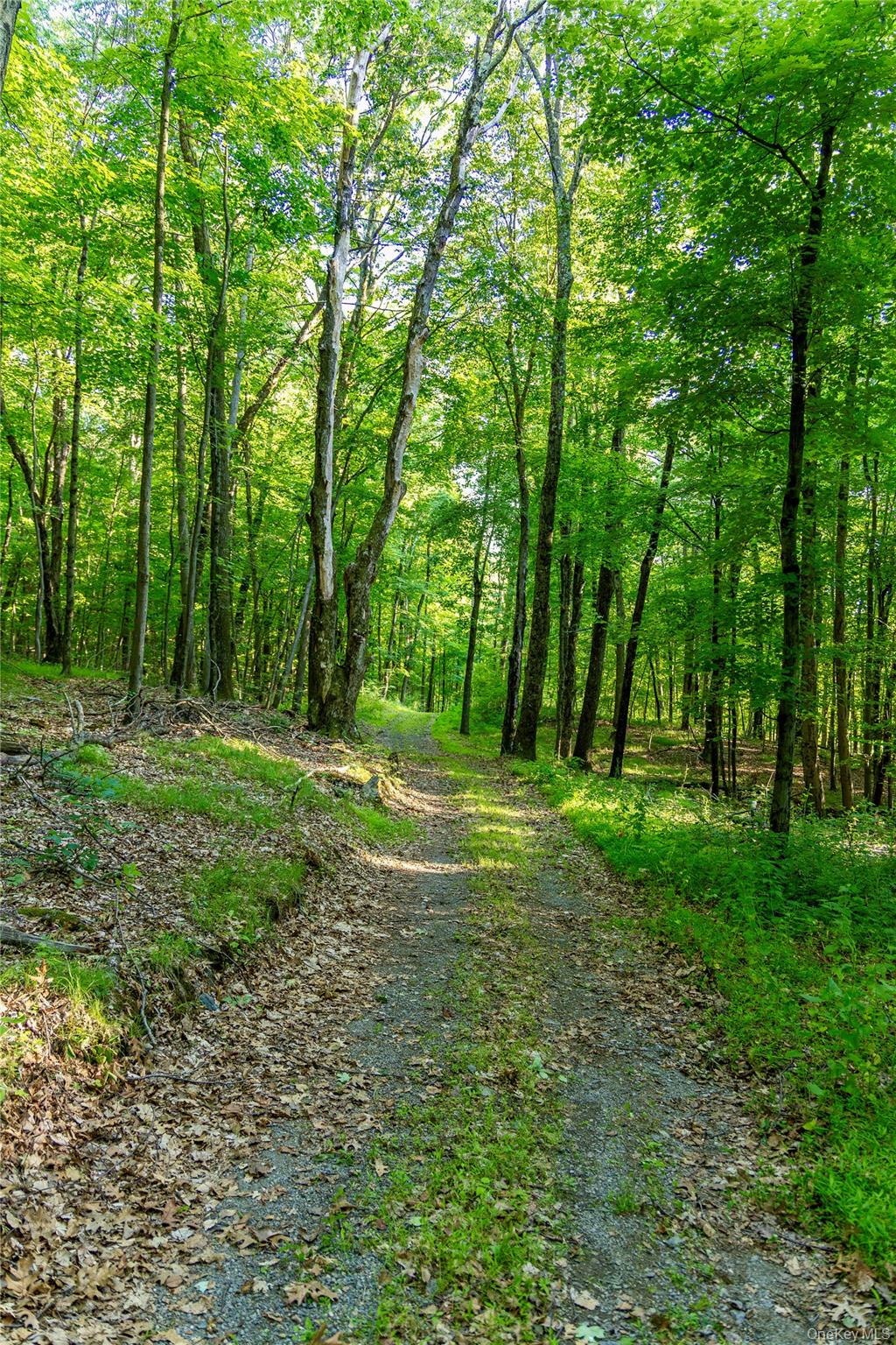 Mallory Road Verbank, NY 12585 - Photo 14 of 16