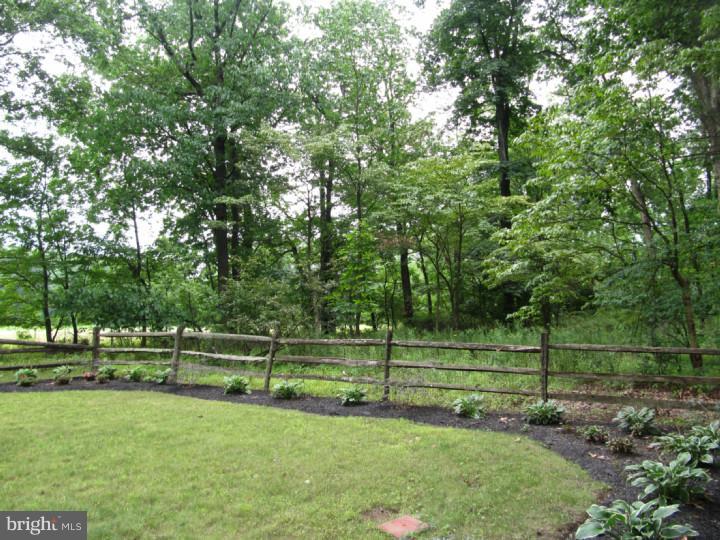 707 Middle Road Perkasie, PA 18944 - Photo 17 of 22 Back Yard