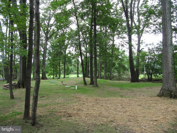707 Middle Road Perkasie, PA 18944 - Photo 21 of 22 View