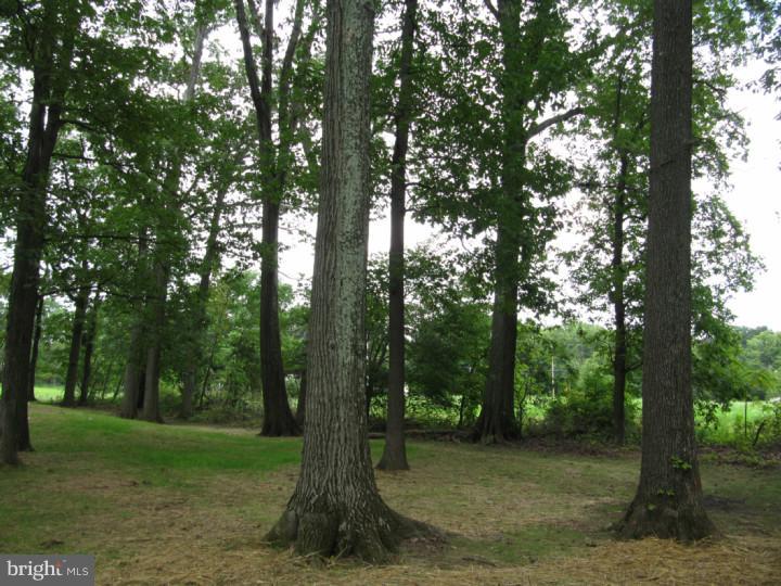 707 Middle Road Perkasie, PA 18944 - Photo 22 of 22 View