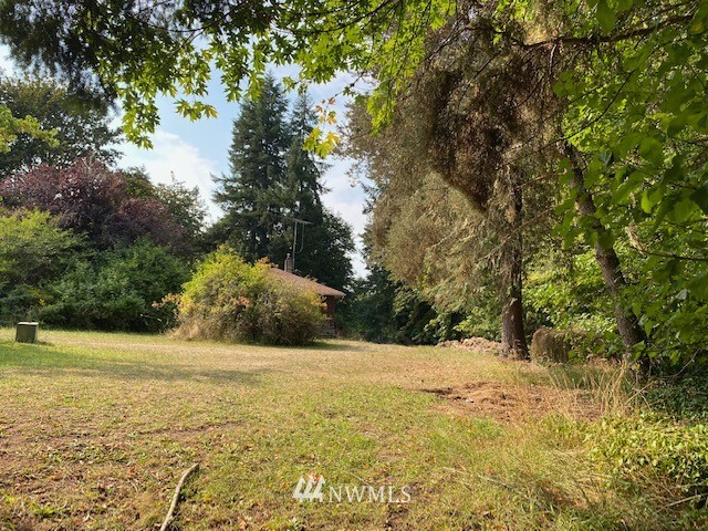 230 Frank Smith Road Toutle, WA 98649 - Photo 3 of 19 a view of mountain view with an outdoor space