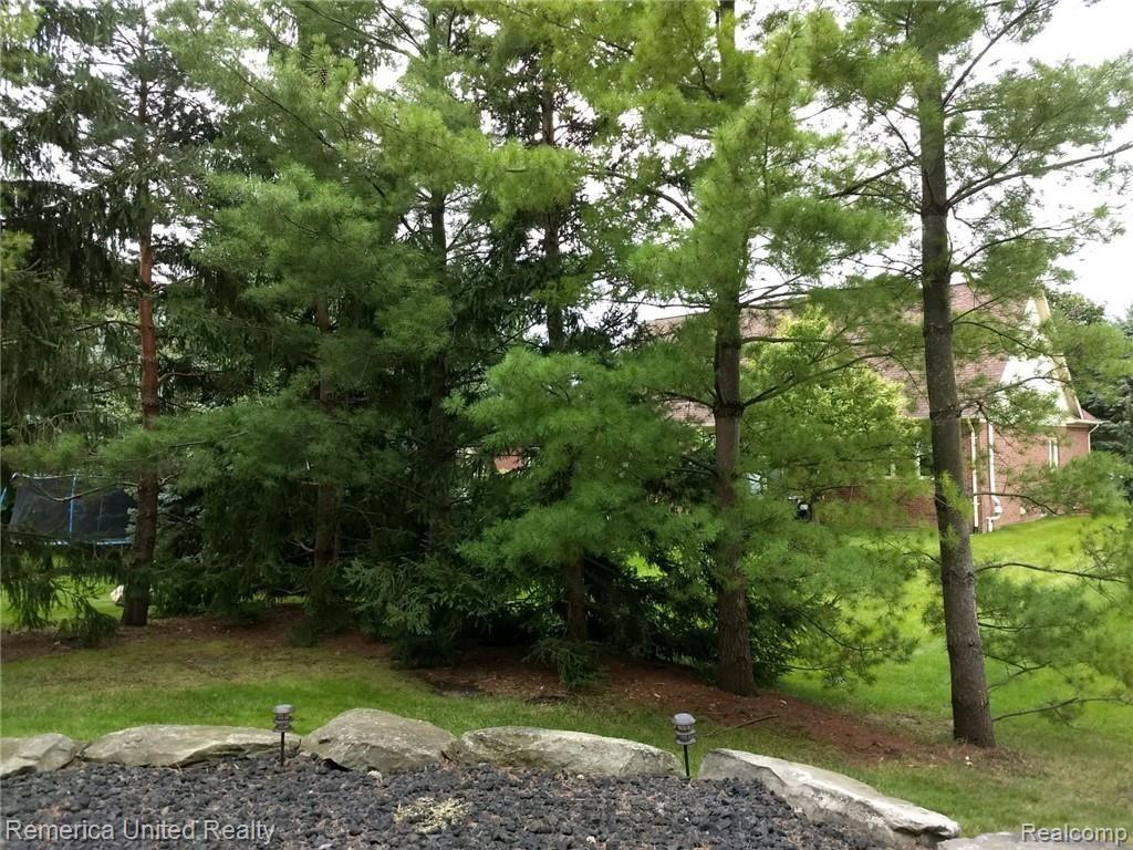 6551 Chatham Circle Rochester, MI 48306 - Photo 7 of 7 IMG_20180908_113152947.jpg
