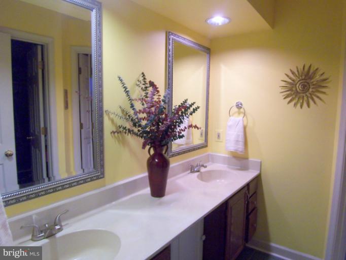 19214 Munger Farm Road Poolesville, MD 20837 - Photo 22 of 30 Bath (Master)