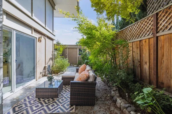 a view of a garden with plants