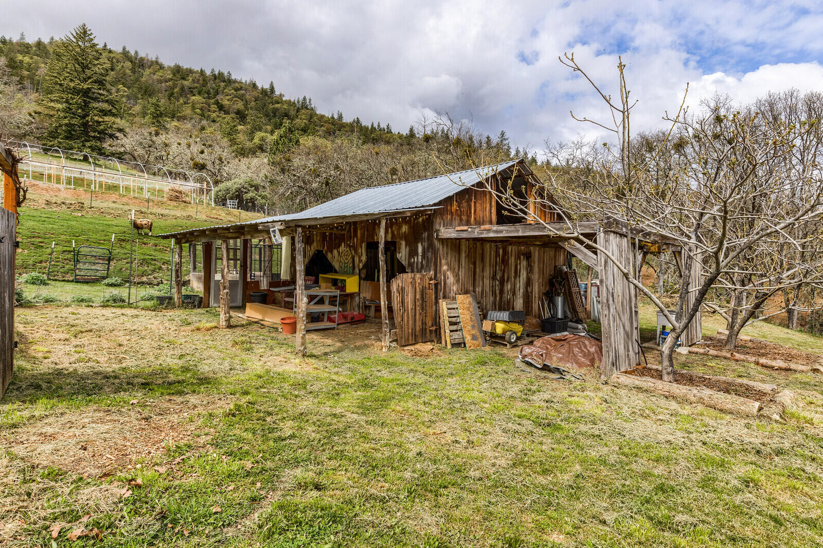 4790 Andrews Road Medford, OR 97501 - Photo 71 of 80 20_AR_20_mls