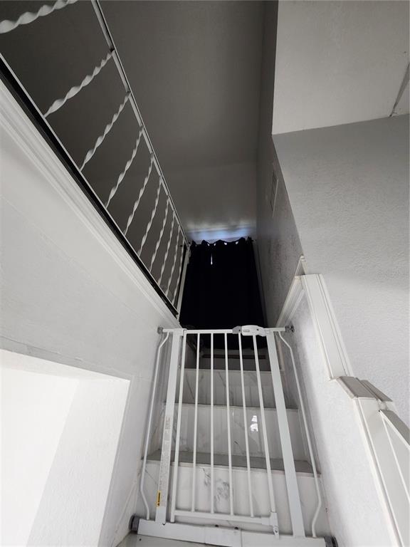 10805 Desoto Road Riverview, FL 33578 - Photo 21 of 46