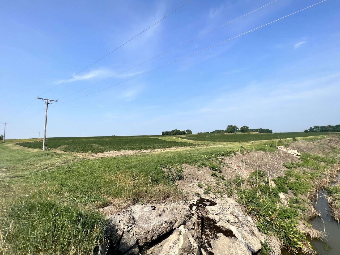 14202 East 3000 N Road Blackstone, IL 61313 - Photo 16 of 24 a view of a lake from a yard