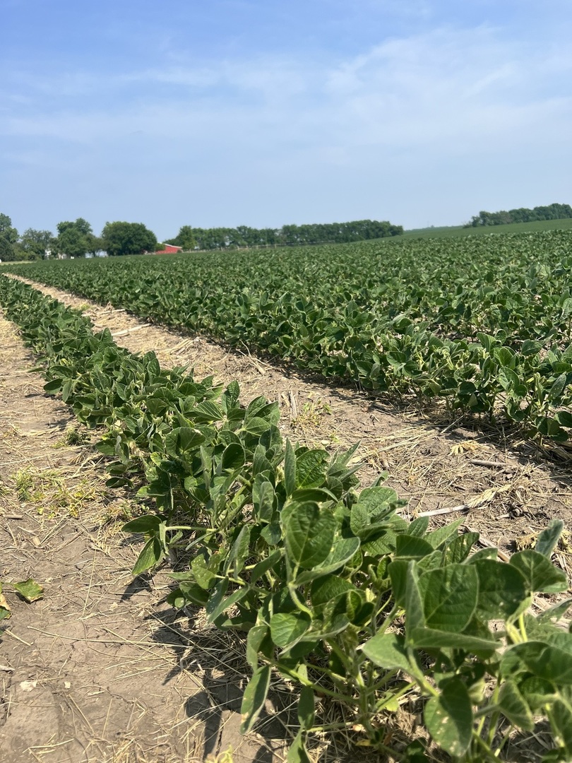 14202 East 3000 N Road Blackstone, IL 61313 - Photo 18 of 24 a view of a field with an ocean