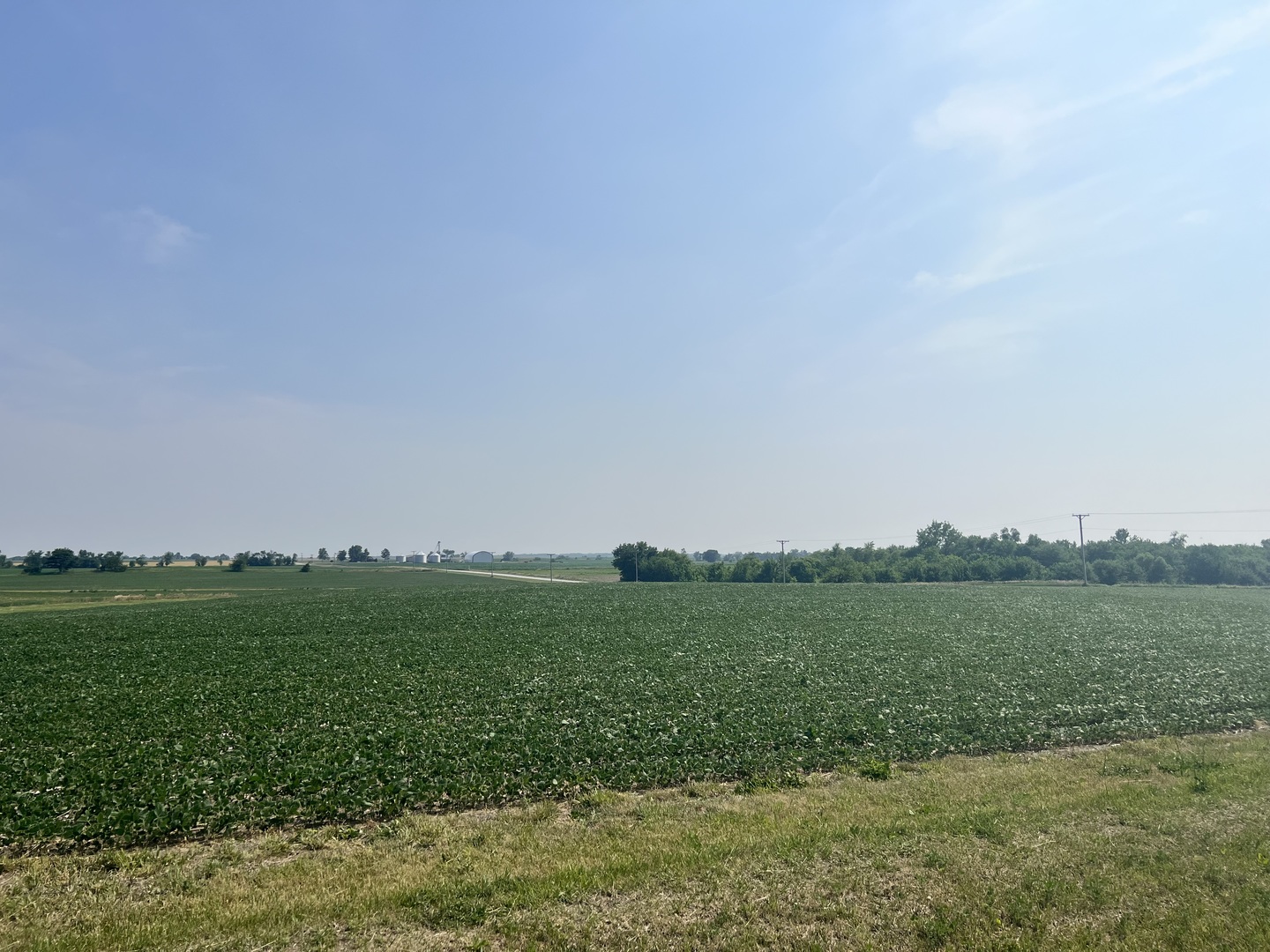 14202 East 3000 N Road Blackstone, IL 61313 - Photo 22 of 24 a view of a field with an ocean view