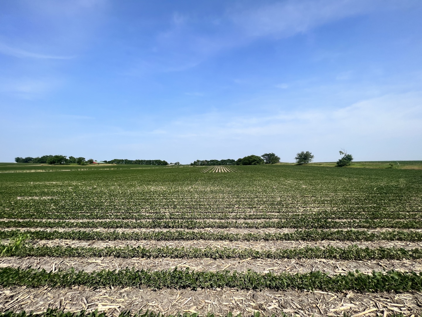 14202 East 3000 N Road Blackstone, IL 61313 - Photo 23 of 24 a view of large green field