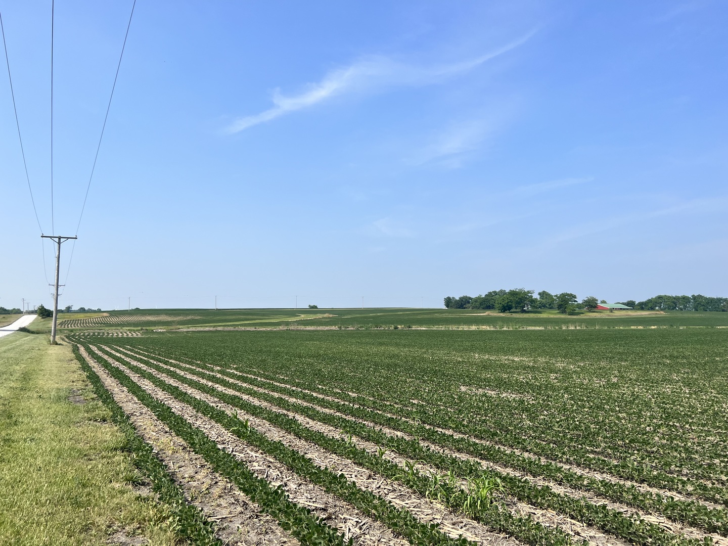 14202 East 3000 N Road Blackstone, IL 61313 - Photo 24 of 24 a view of a lake and a houses