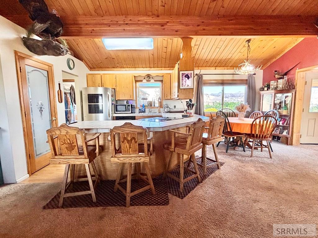 20 Stephens Road Challis, ID 83226 - Photo 2 of 50