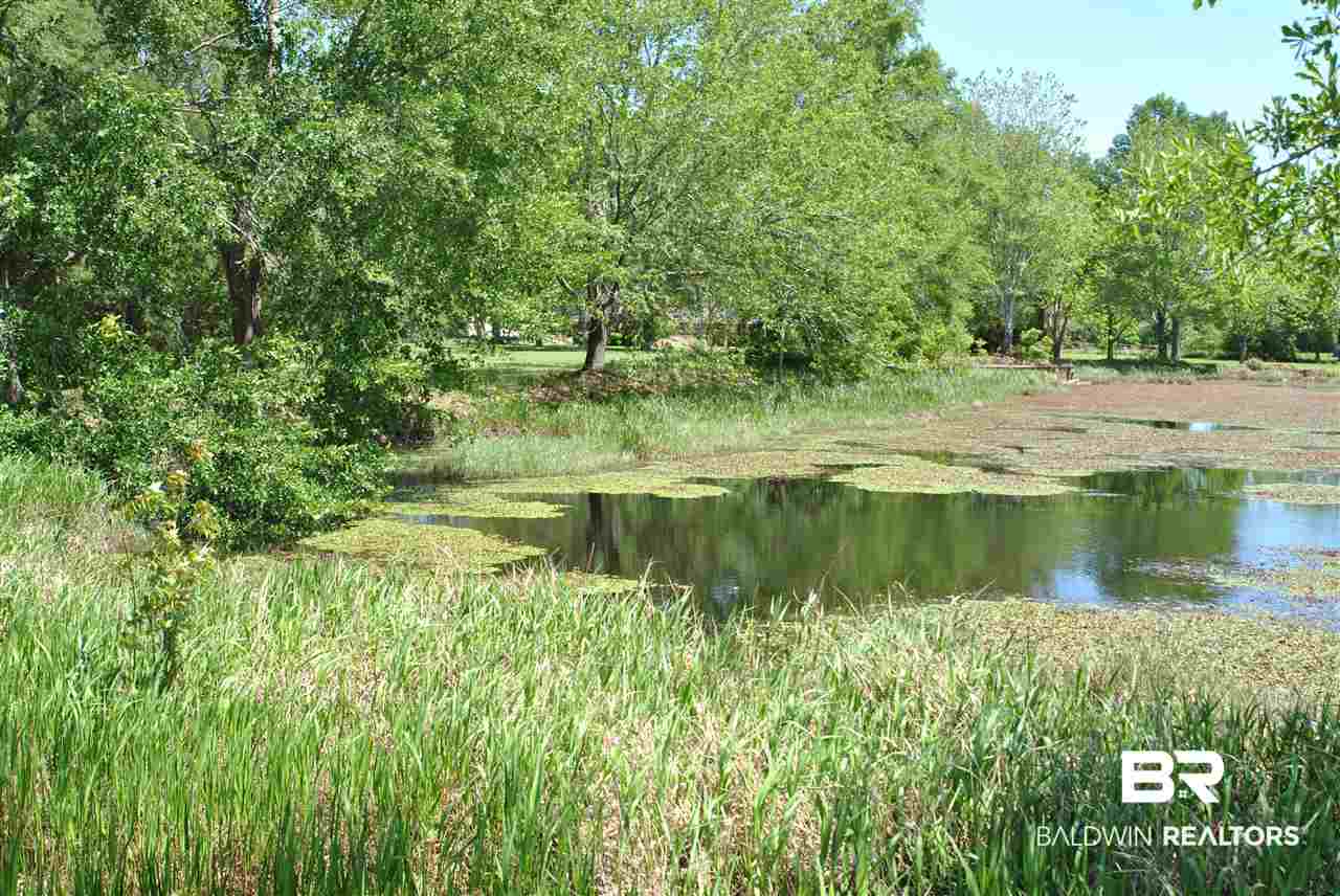 5240 Dogwood Trail Eight Mile, AL 36613 - Photo 18 of 20 Gallery Image 18