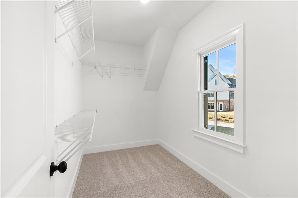 338 Reese Way Ball Ground, GA 30107 - Photo 39 of 62