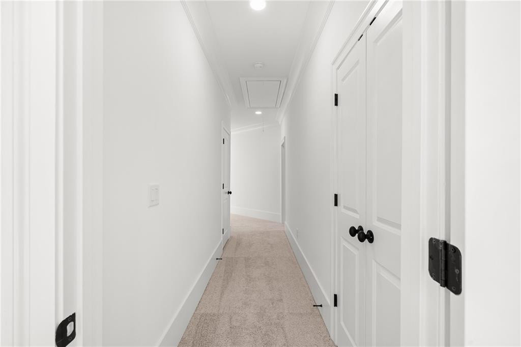 338 Reese Way Ball Ground, GA 30107 - Photo 46 of 62