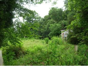 329 Richards Road Rogersville, TN 37857 - Photo 3 of 5 Photo 3