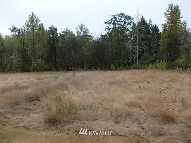 220 East Benson Loop Road Shelton, WA 98584 - Photo 21 of 25 Gallery Image 21