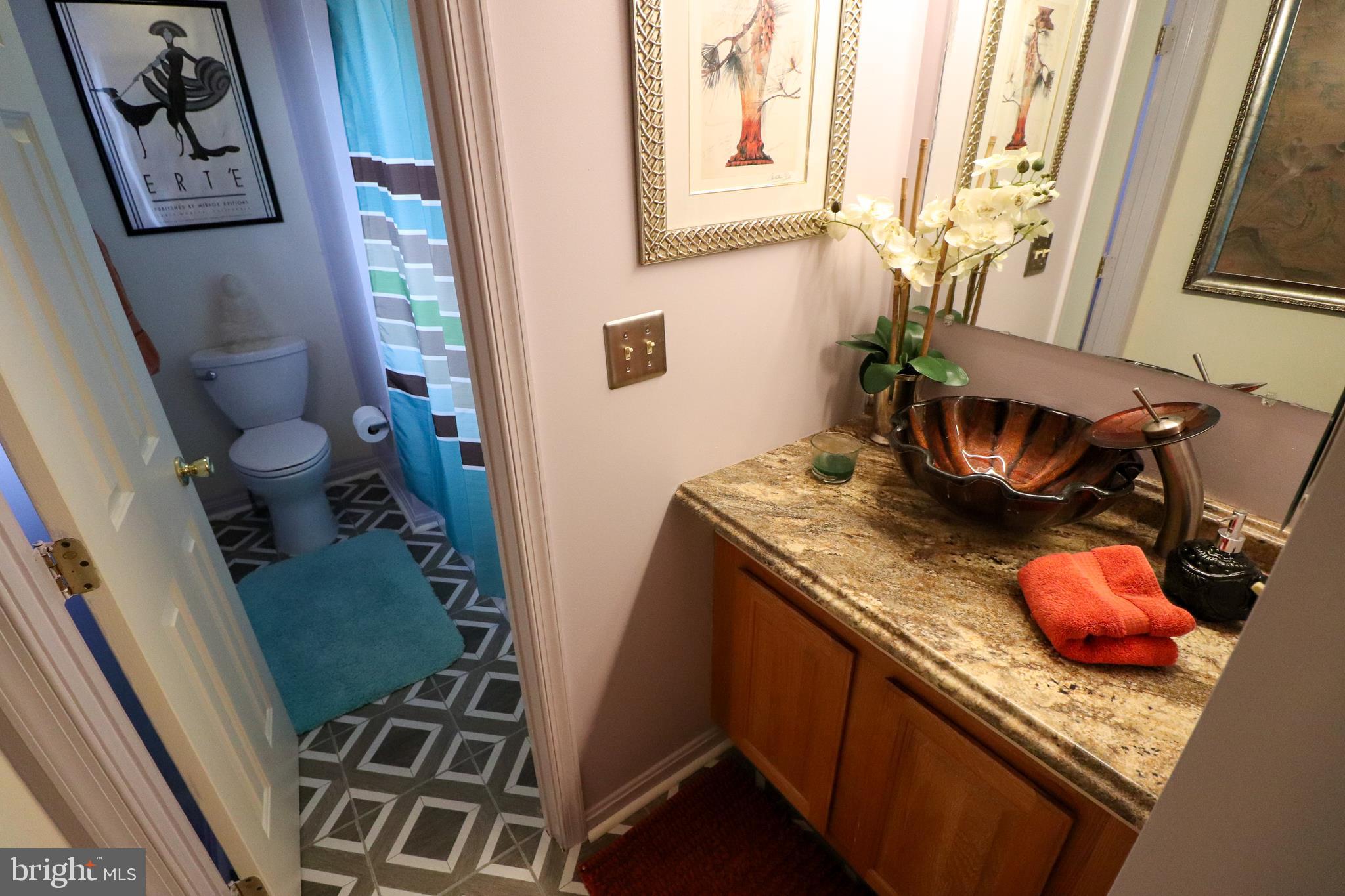 7011 Fox Chase Road New Market, MD 21774 - Photo 15 of 18 One of the updated bath rooms