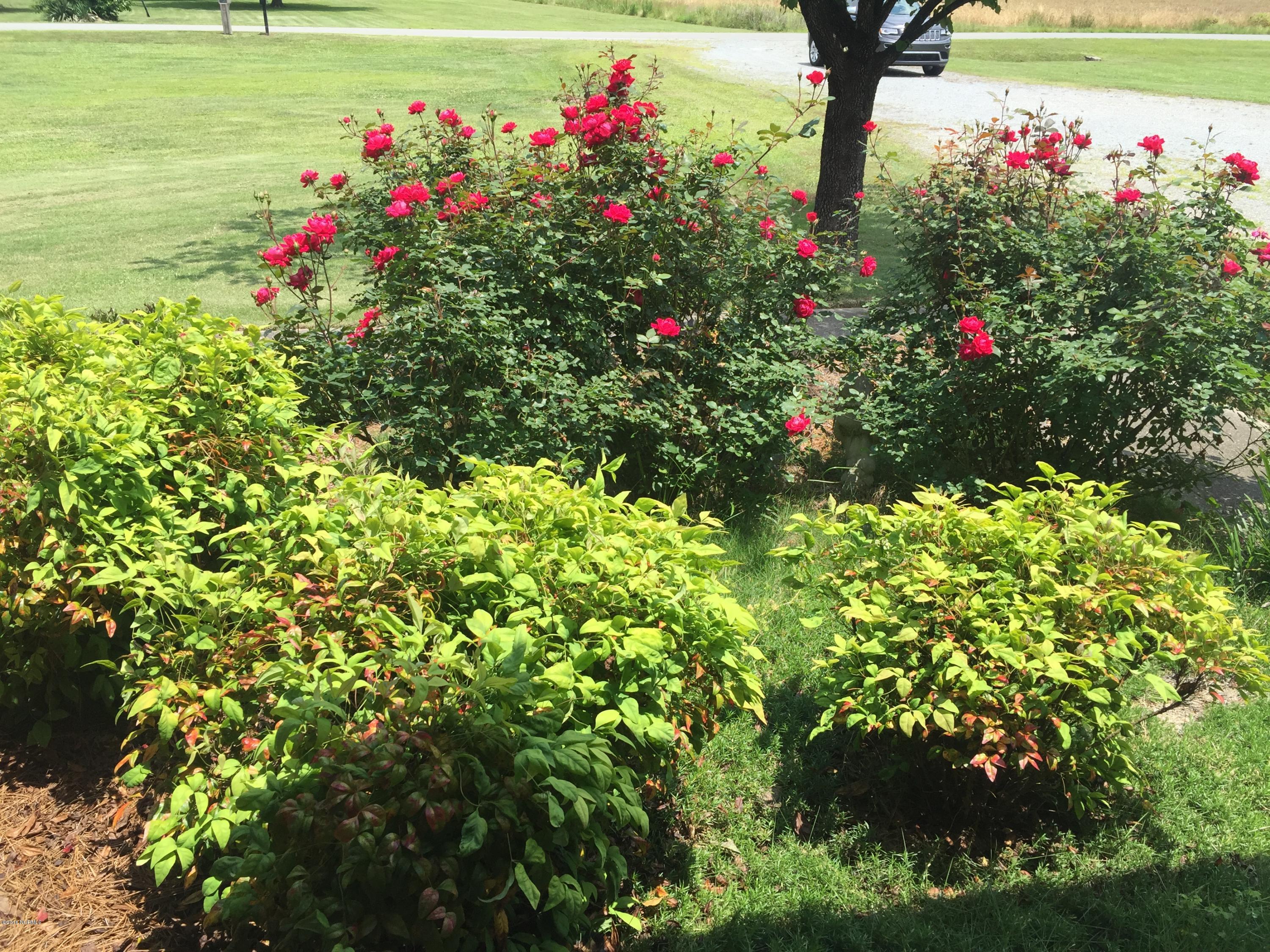 347 Blackmore Road Warsaw, NC 28398 - Photo 29 of 31 Photo May 26, 1 26 00 PM