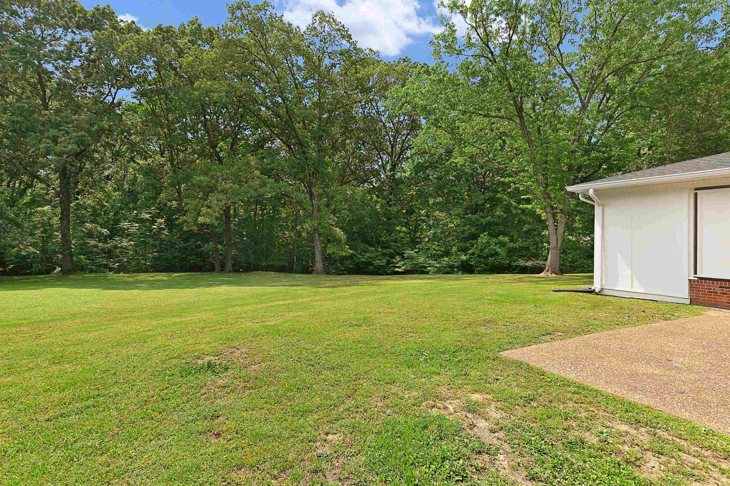351 Old Bells Road Jackson, TN 38305 - Photo 3 of 22 Photo 3