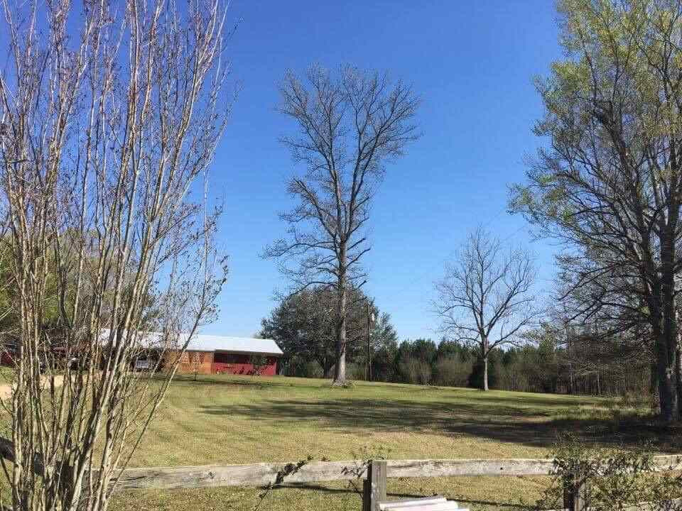 709 Concord Road Pelahatchie, MS 39145 - Photo 2 of 31 Photo 2