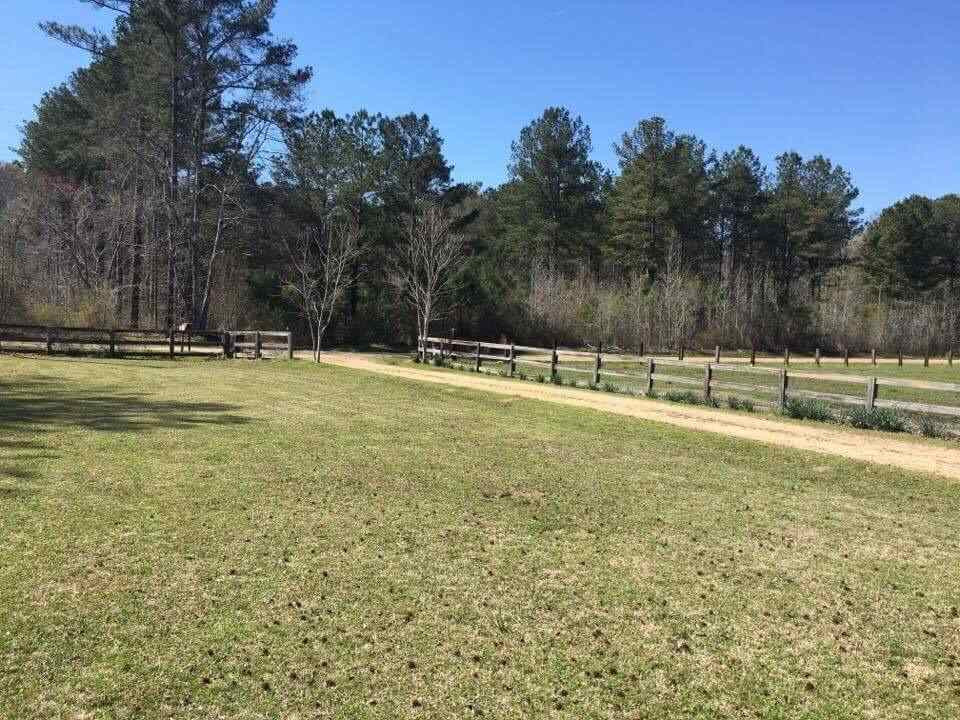 709 Concord Road Pelahatchie, MS 39145 - Photo 5 of 31 Photo 5