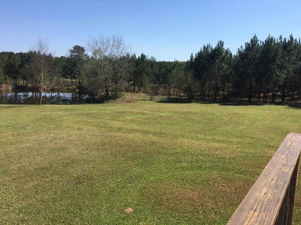 709 Concord Road Pelahatchie, MS 39145 - Photo 6 of 31 Photo 6