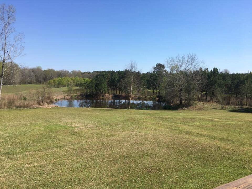 709 Concord Road Pelahatchie, MS 39145 - Photo 7 of 31 Photo 7