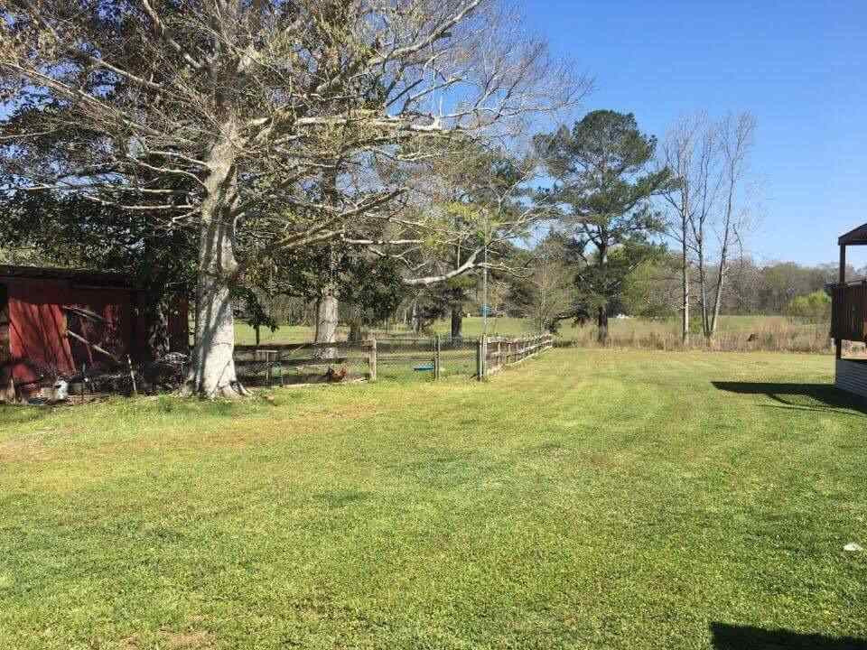 709 Concord Road Pelahatchie, MS 39145 - Photo 9 of 31 Photo 9