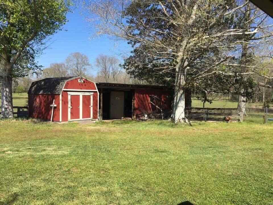 709 Concord Road Pelahatchie, MS 39145 - Photo 10 of 31 Photo 10
