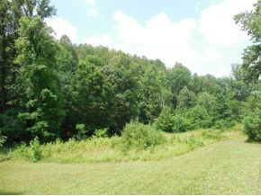1385 Frank Roberts Road Afton, TN 37616 - Photo 4 of 7 Photo 4