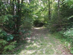 1385 Frank Roberts Road Afton, TN 37616 - Photo 5 of 7 Photo 5