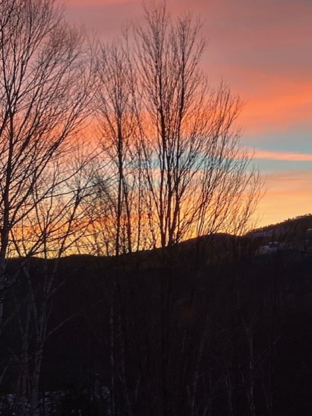 58 Christmas Mountain Road Intervale, NH 03845 - Photo 47 of 48