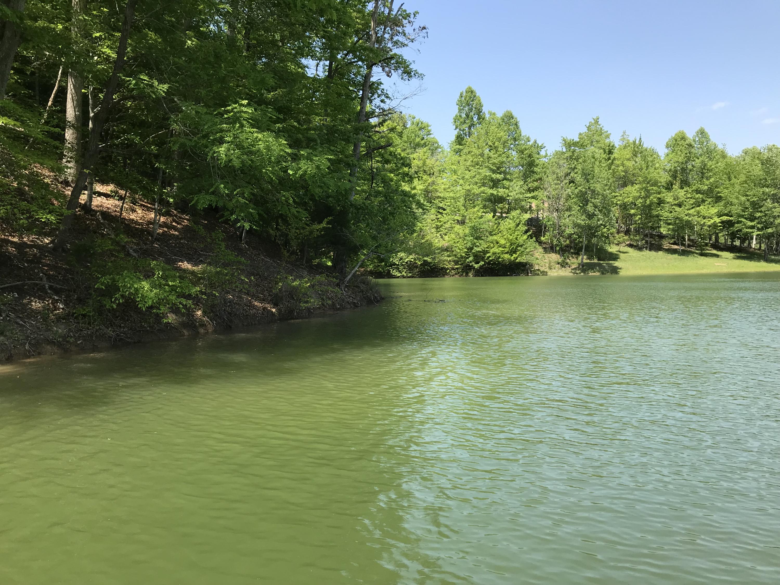 Mountain Shores Rd Road, Unit 10 11 New Tazewell, TN 37825 - Photo 2 of 37 IMG_0306