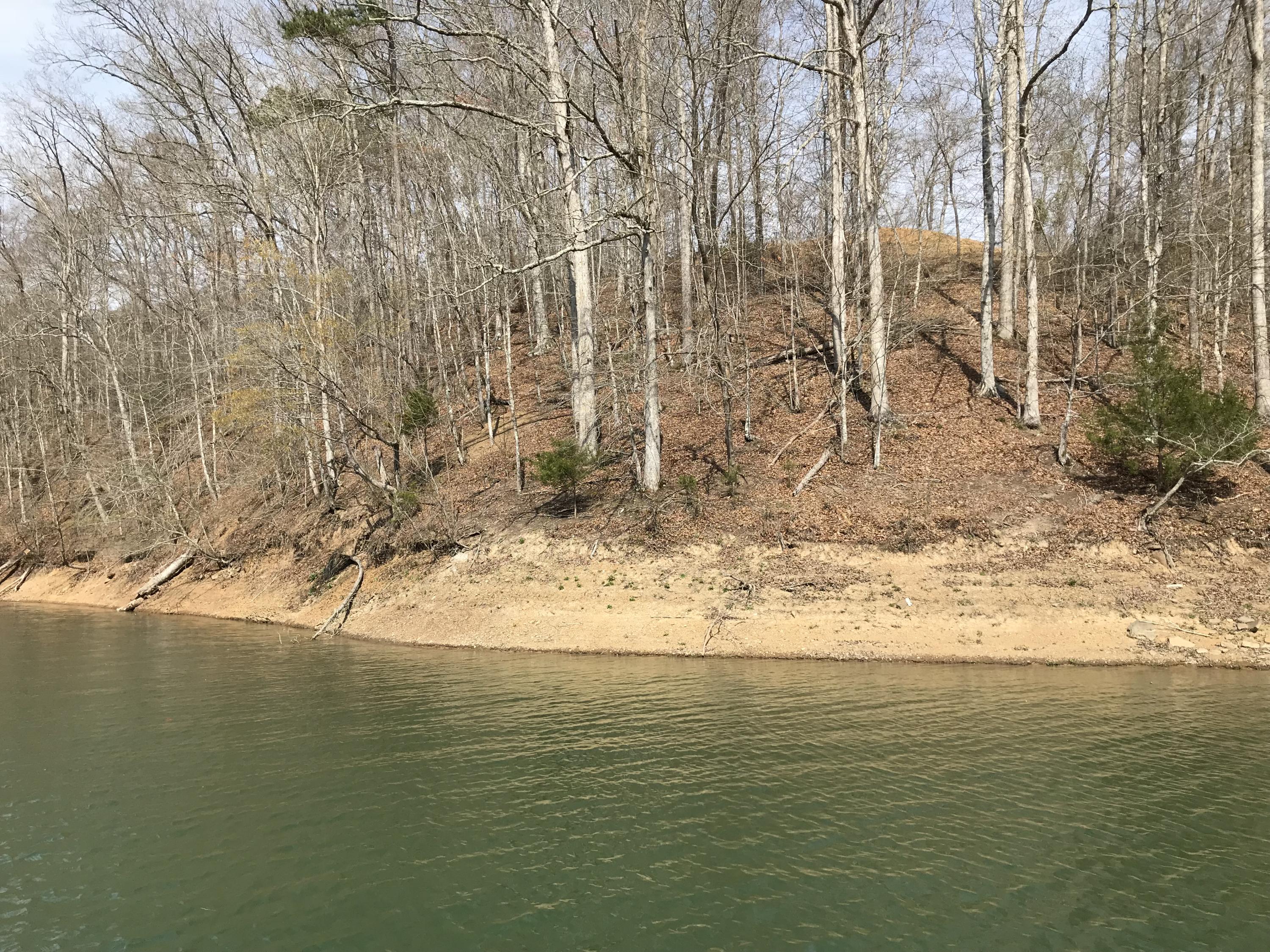 Mountain Shores Rd Road, Unit 10 11 New Tazewell, TN 37825 - Photo 15 of 37 IMG_0196