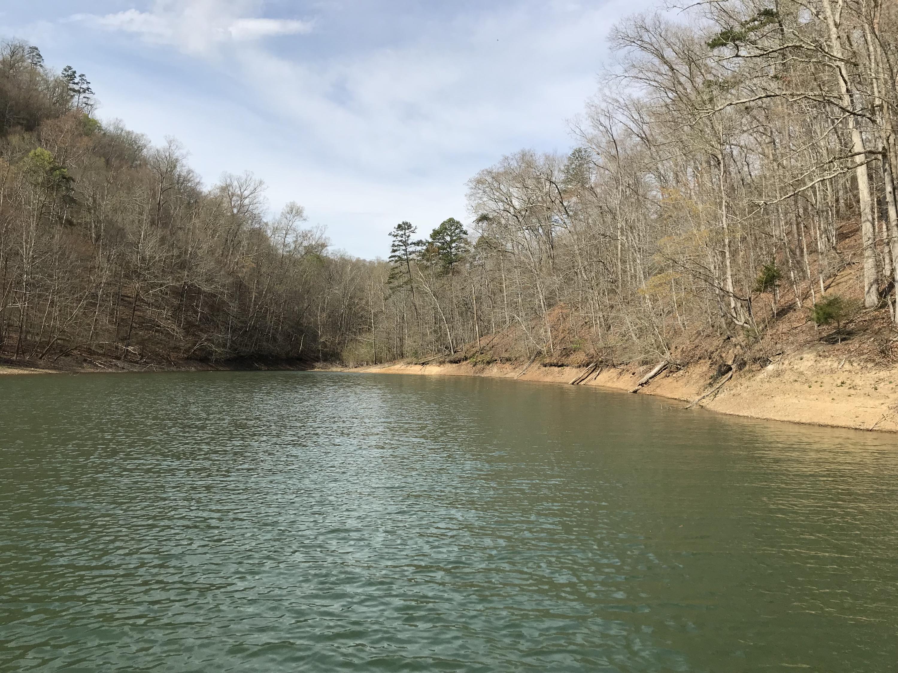 Mountain Shores Rd Road, Unit 10 11 New Tazewell, TN 37825 - Photo 17 of 37 IMG_0195