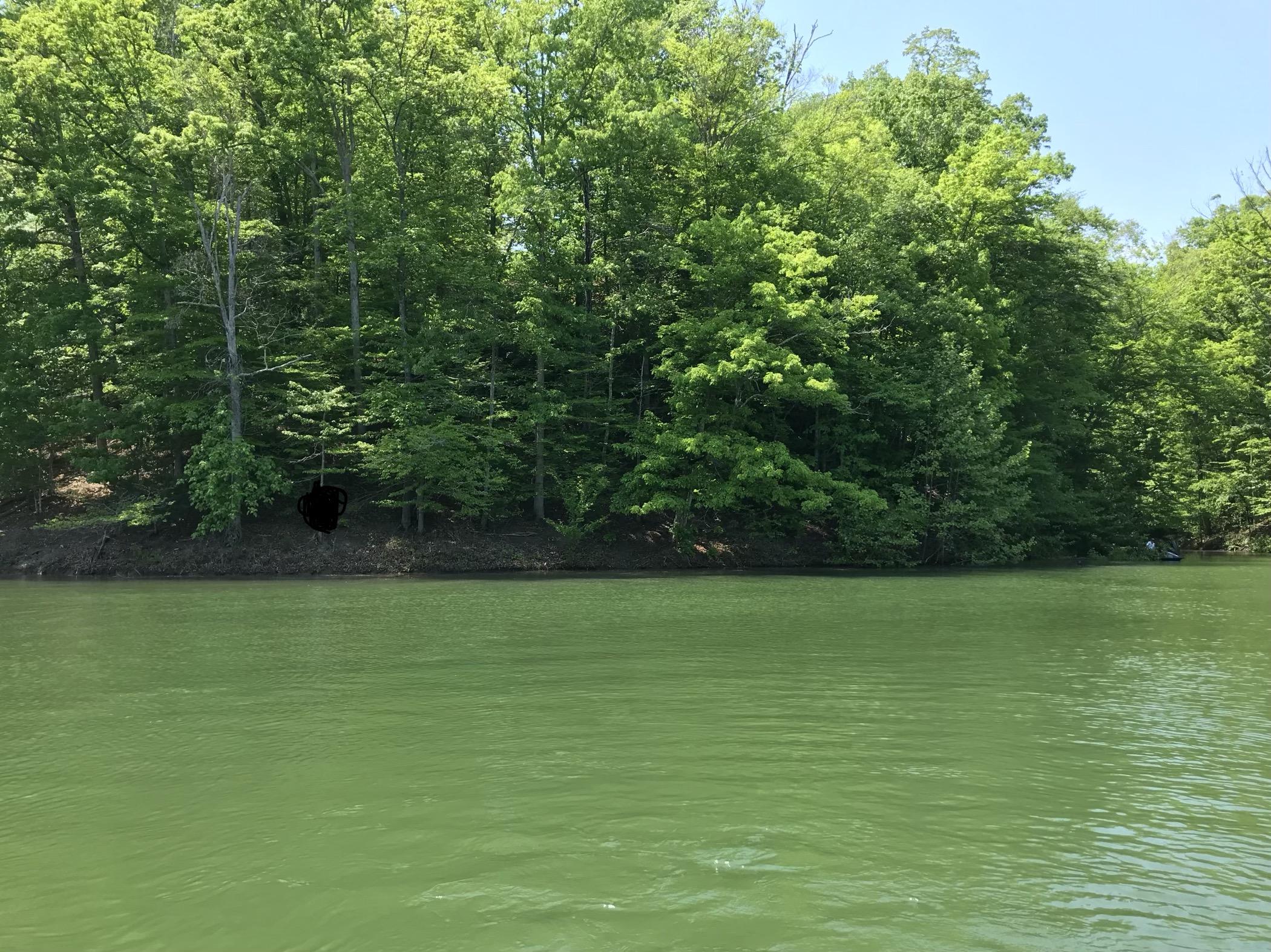 Mountain Shores Rd Road, Unit 10 11 New Tazewell, TN 37825 - Photo 20 of 37 IMG_0289 (1)