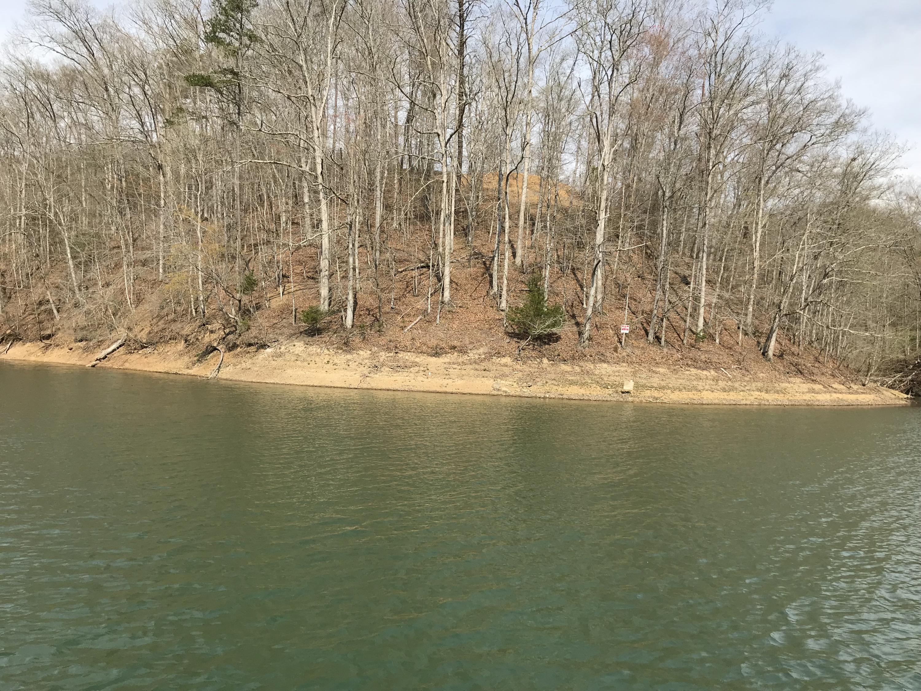Mountain Shores Rd Road, Unit 10 11 New Tazewell, TN 37825 - Photo 21 of 37 IMG_0193