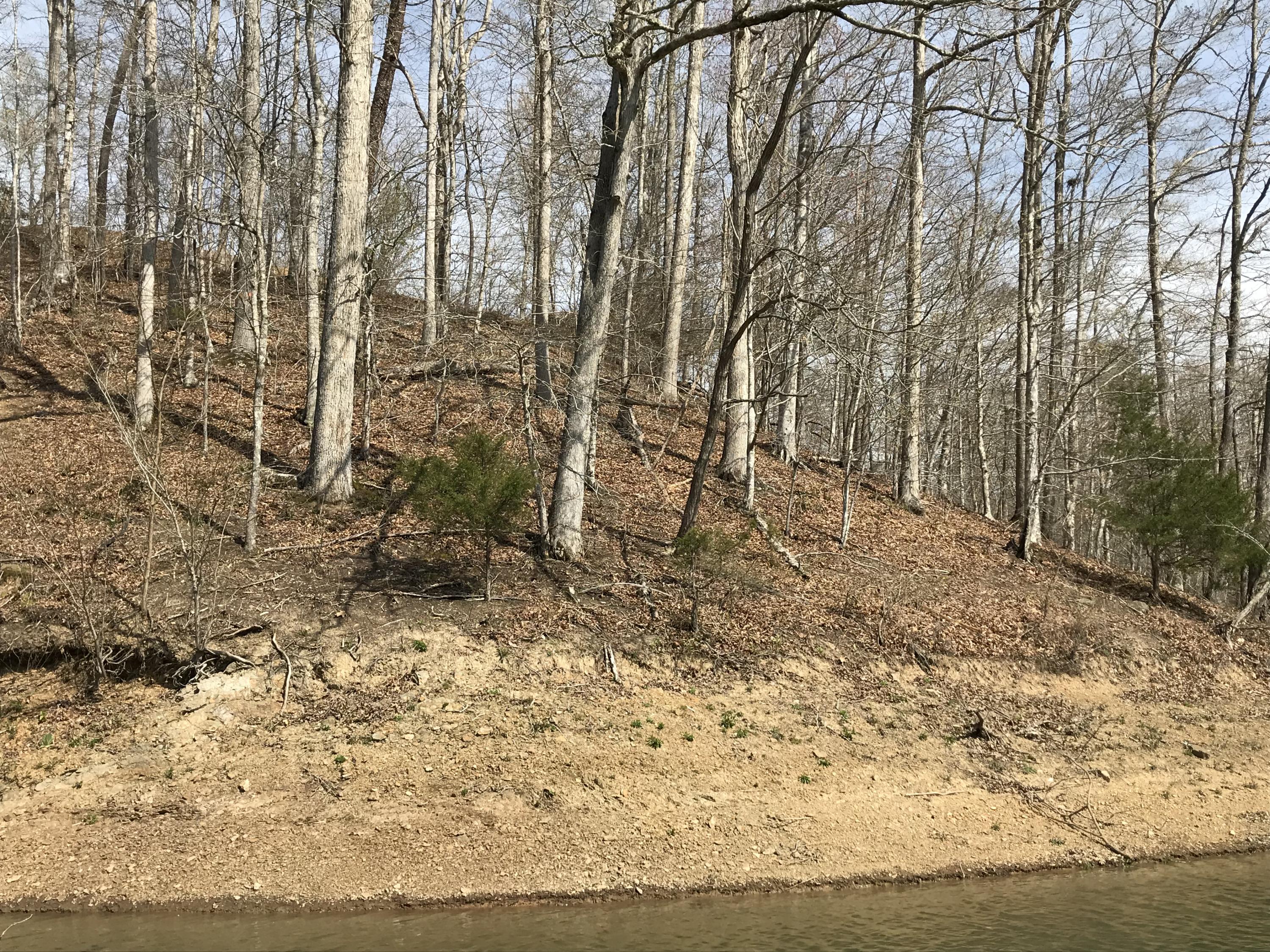 Mountain Shores Rd Road, Unit 10 11 New Tazewell, TN 37825 - Photo 22 of 37 IMG_0220