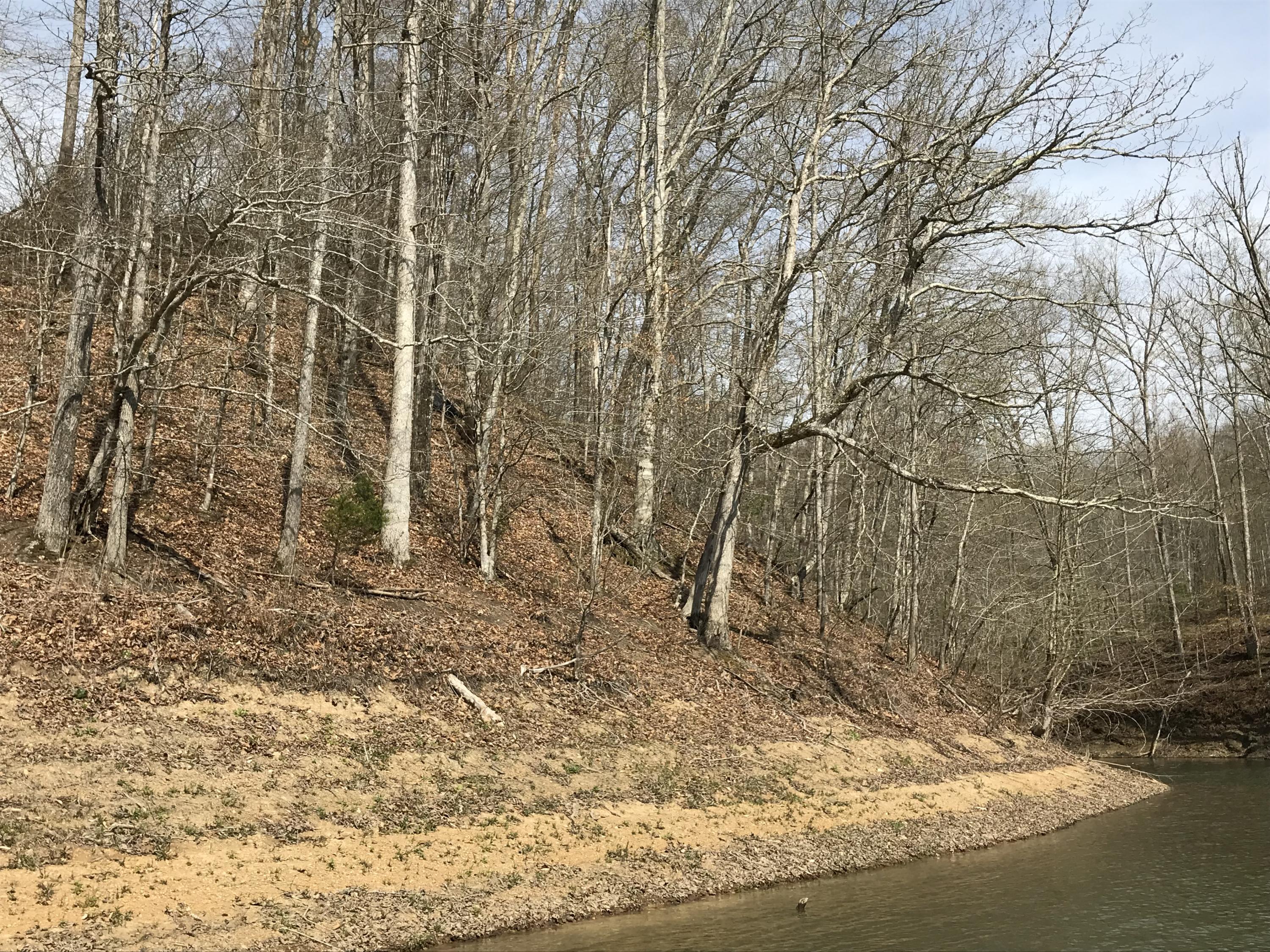 Mountain Shores Rd Road, Unit 10 11 New Tazewell, TN 37825 - Photo 24 of 37 IMG_0224 (1)