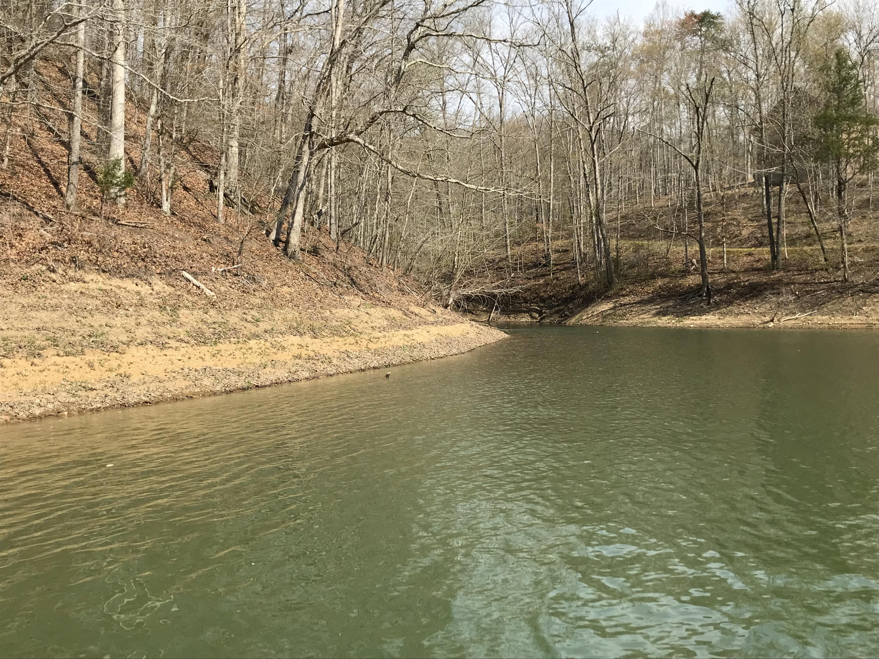 Mountain Shores Rd Road, Unit 10 11 New Tazewell, TN 37825 - Photo 25 of 37 IMG_0223
