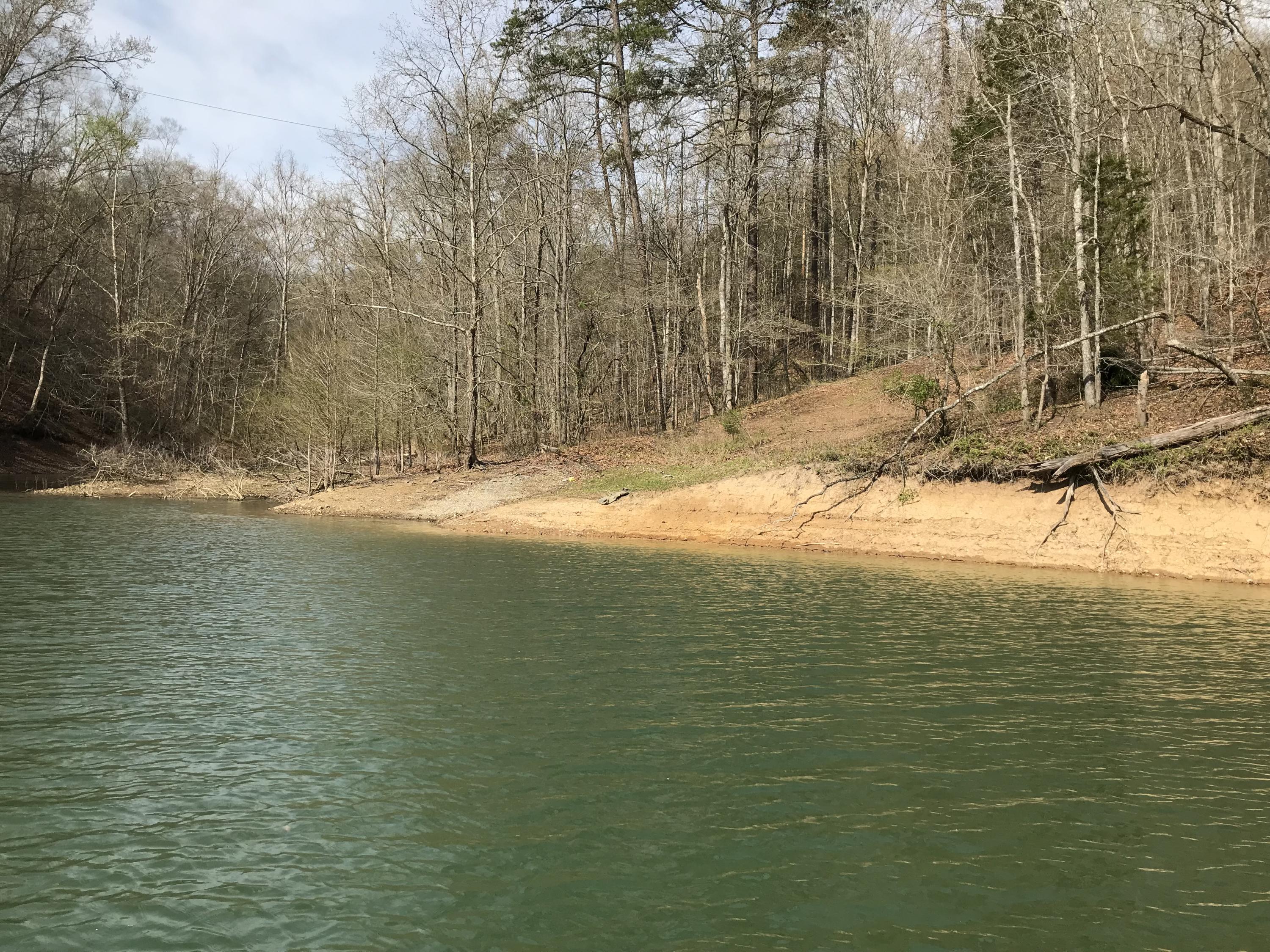 Mountain Shores Rd Road, Unit 10 11 New Tazewell, TN 37825 - Photo 26 of 37 IMG_0212 (1)