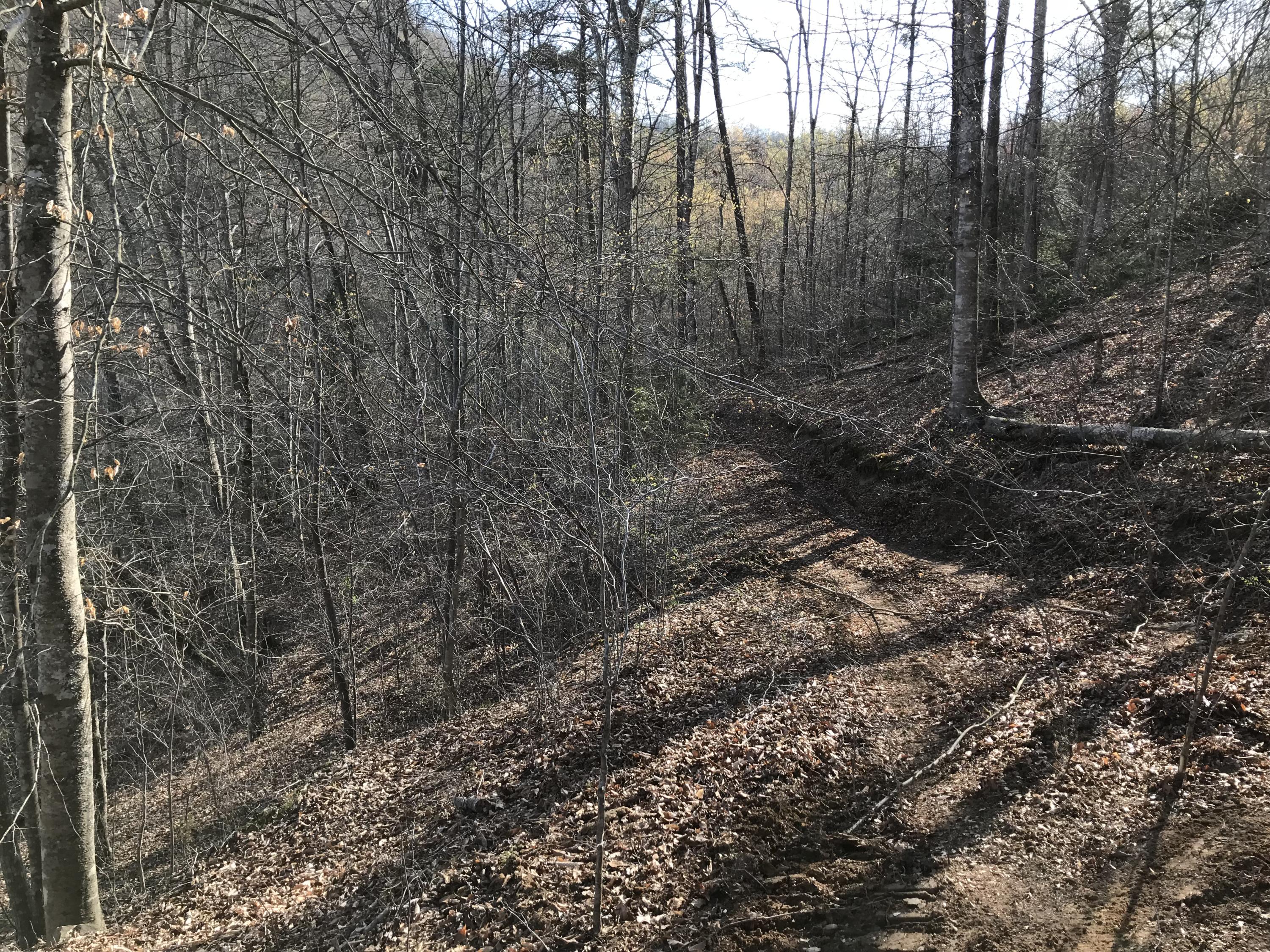 Mountain Shores Rd Road, Unit 10 11 New Tazewell, TN 37825 - Photo 37 of 37 IMG_0127 (2)